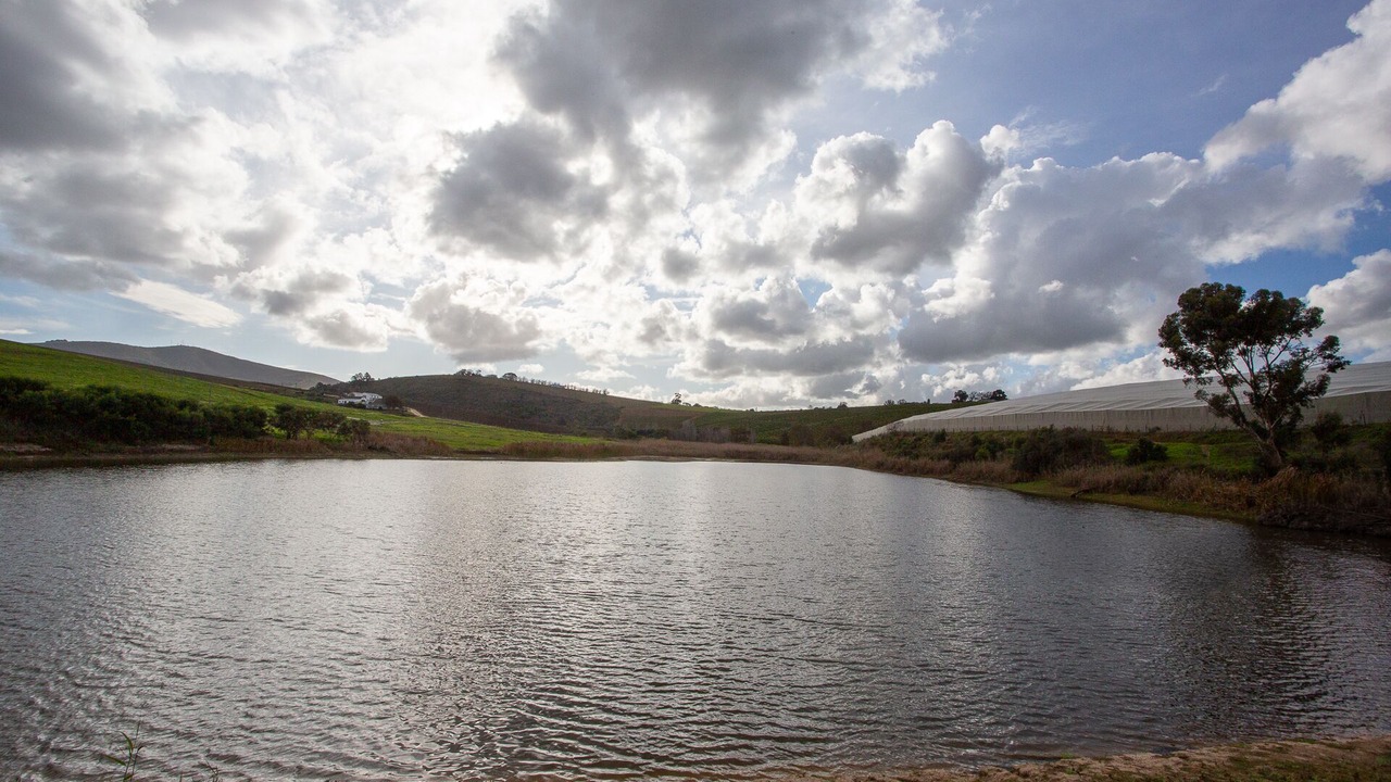 Photo of Outdoor in Stellenbosch