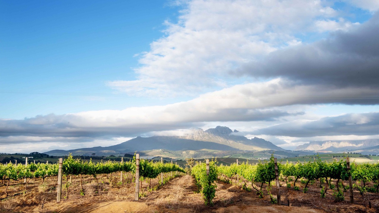 Photo of Outdoor in Stellenbosch