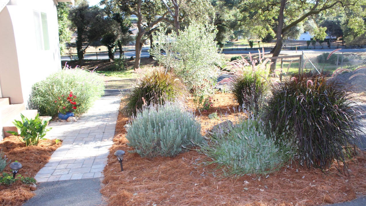 Photo of Outdoor in Petaluma