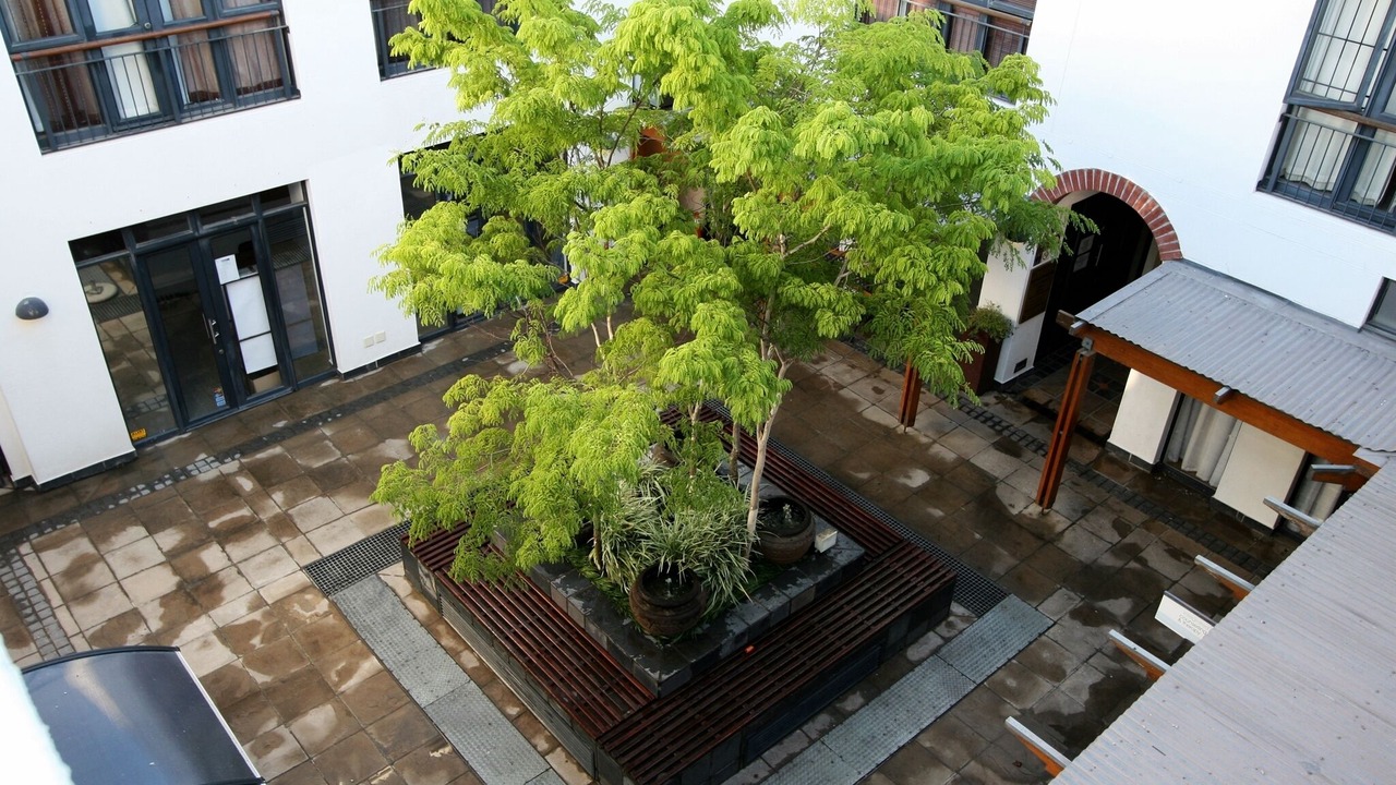 Photo of Outdoor in Stellenbosch Central