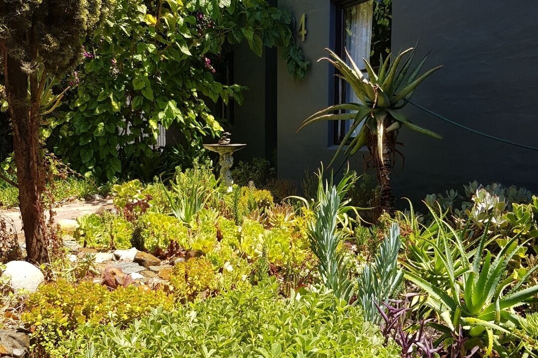 Photo of Outdoor in Edgemead