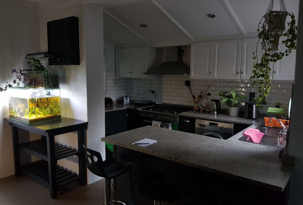 Photo of Kitchen in Edgemead