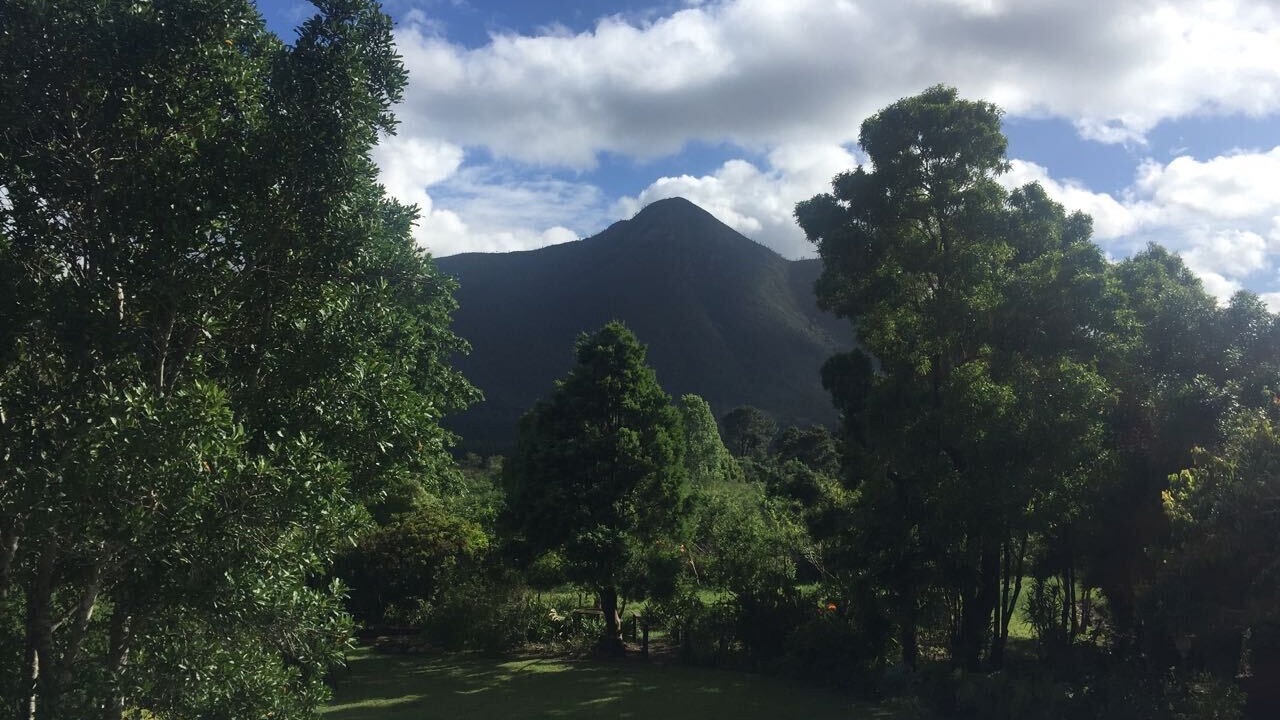 Photo of Outdoor in Storms River