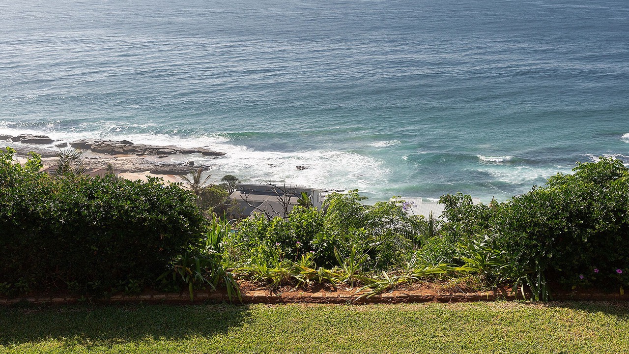 Photo of Others in Sheffield Beach