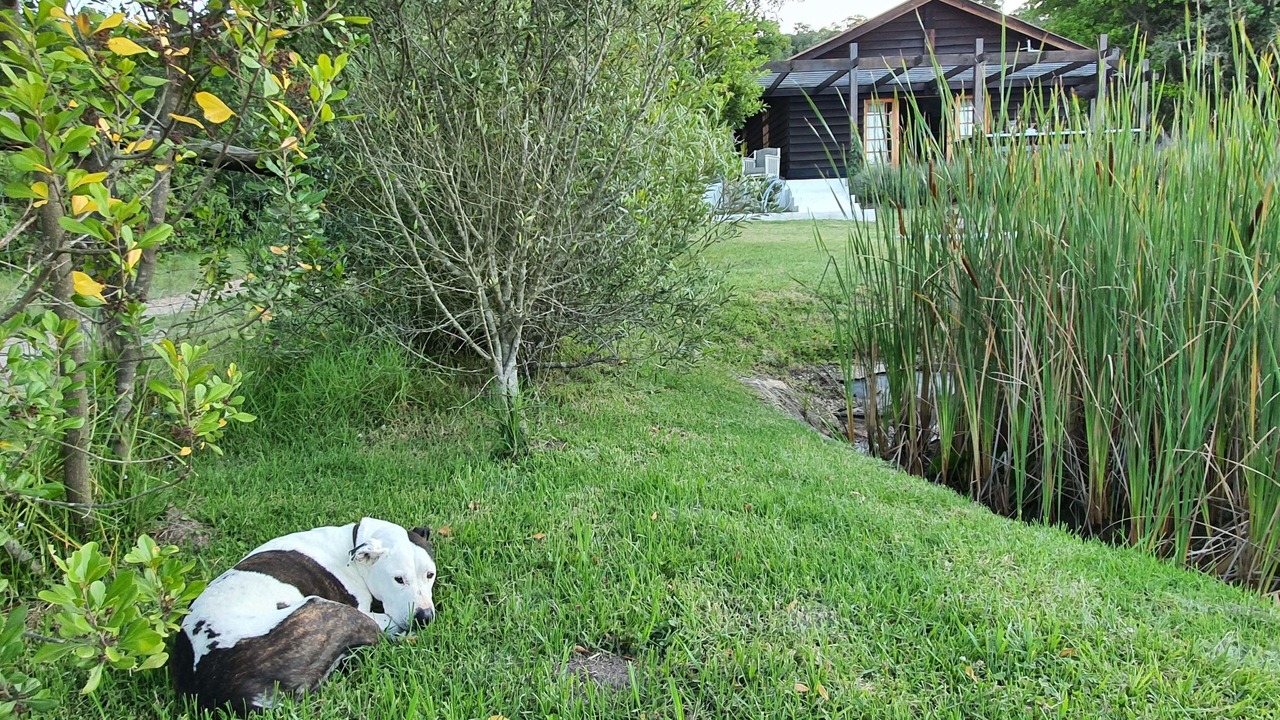 Photo of Outdoor in Harkerville