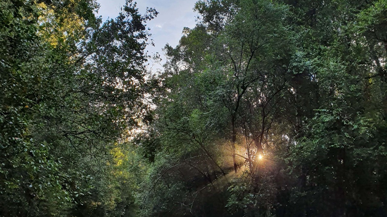 Photo of Outdoor in Harkerville