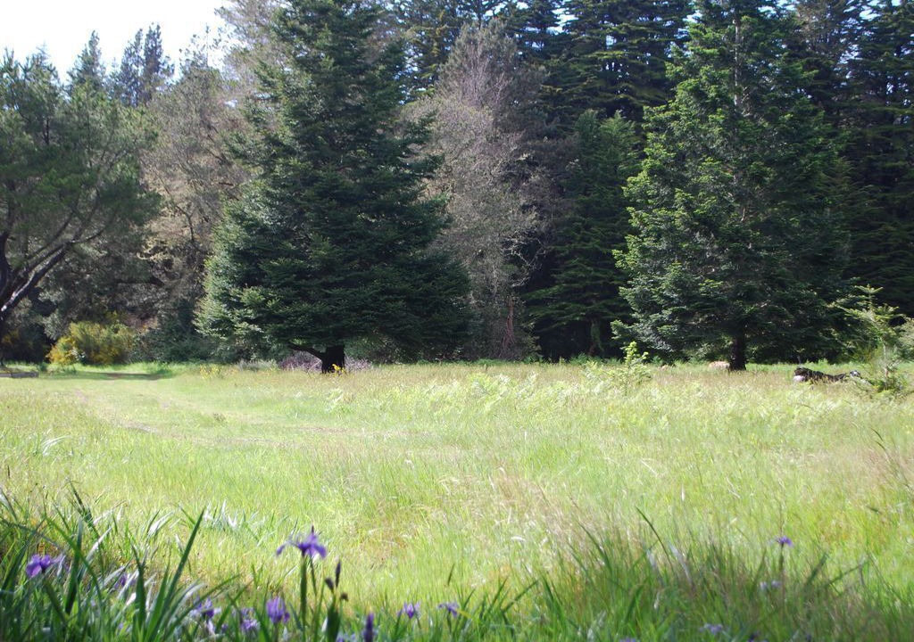 Photo of Others in Mendocino