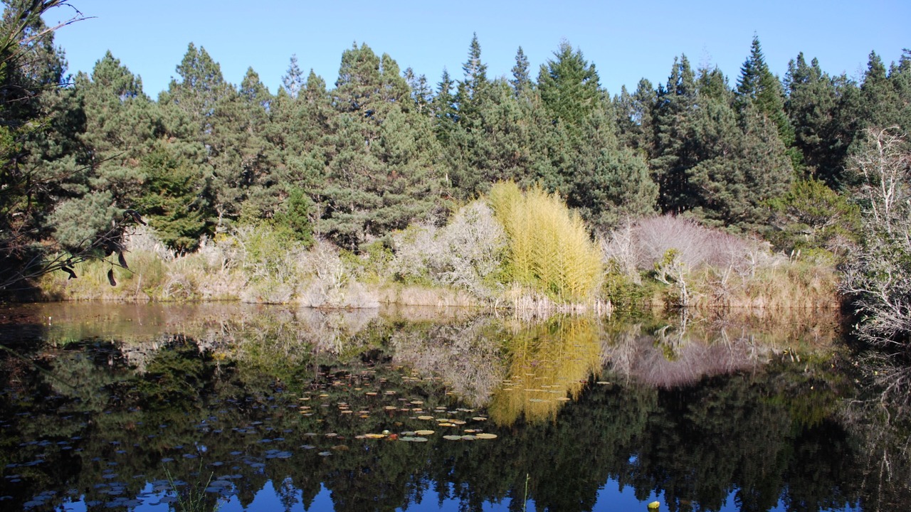 Photo of Others in Mendocino
