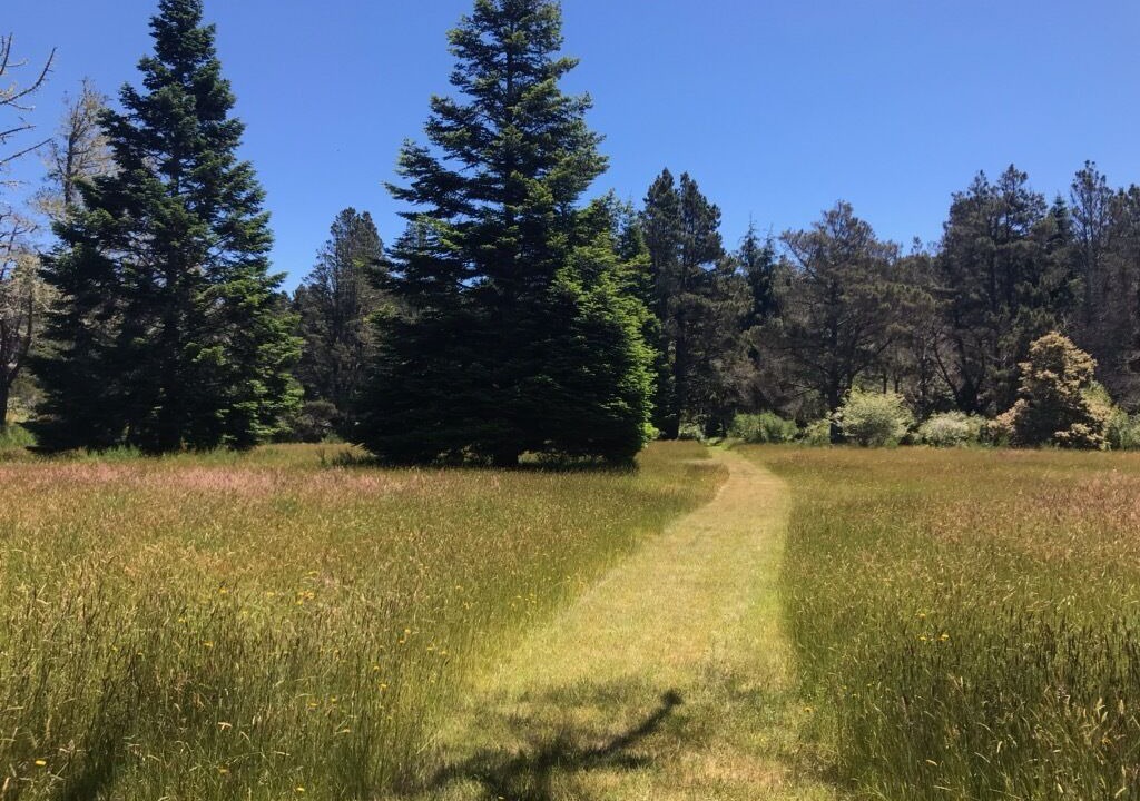 Photo of Others in Mendocino