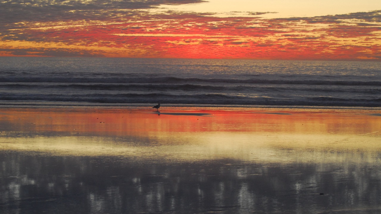 Photo of Others in Pajaro Dunes