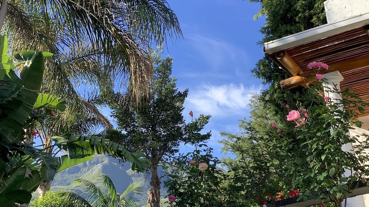 Photo of Outdoor in George