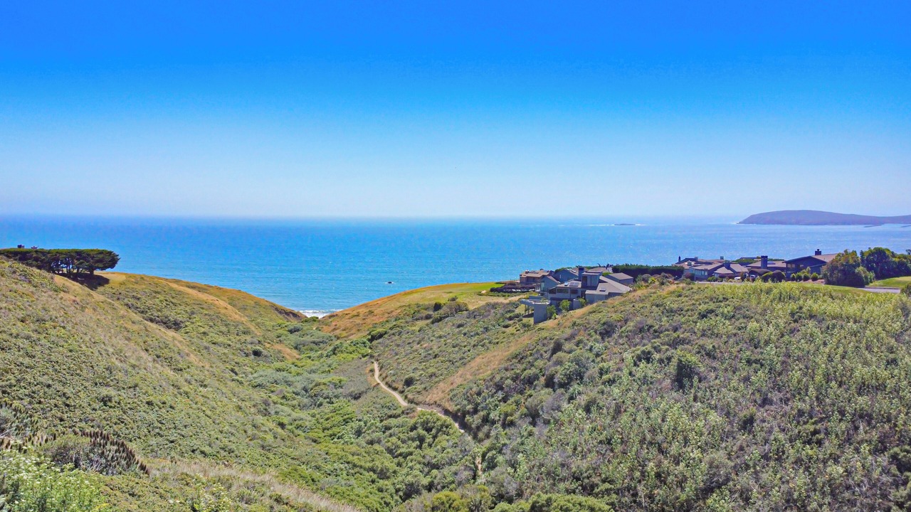 Photo of Others in Bodega Bay
