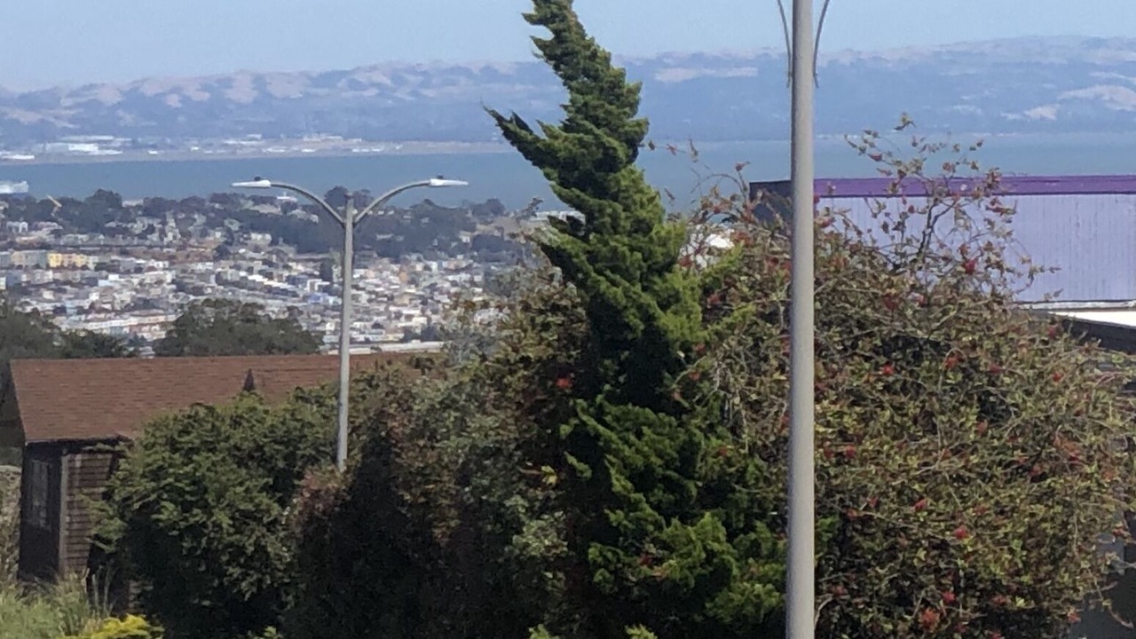 Photo of Patio Balcony in Miraloma