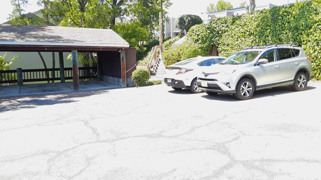 Photo of Others in Greenbrae