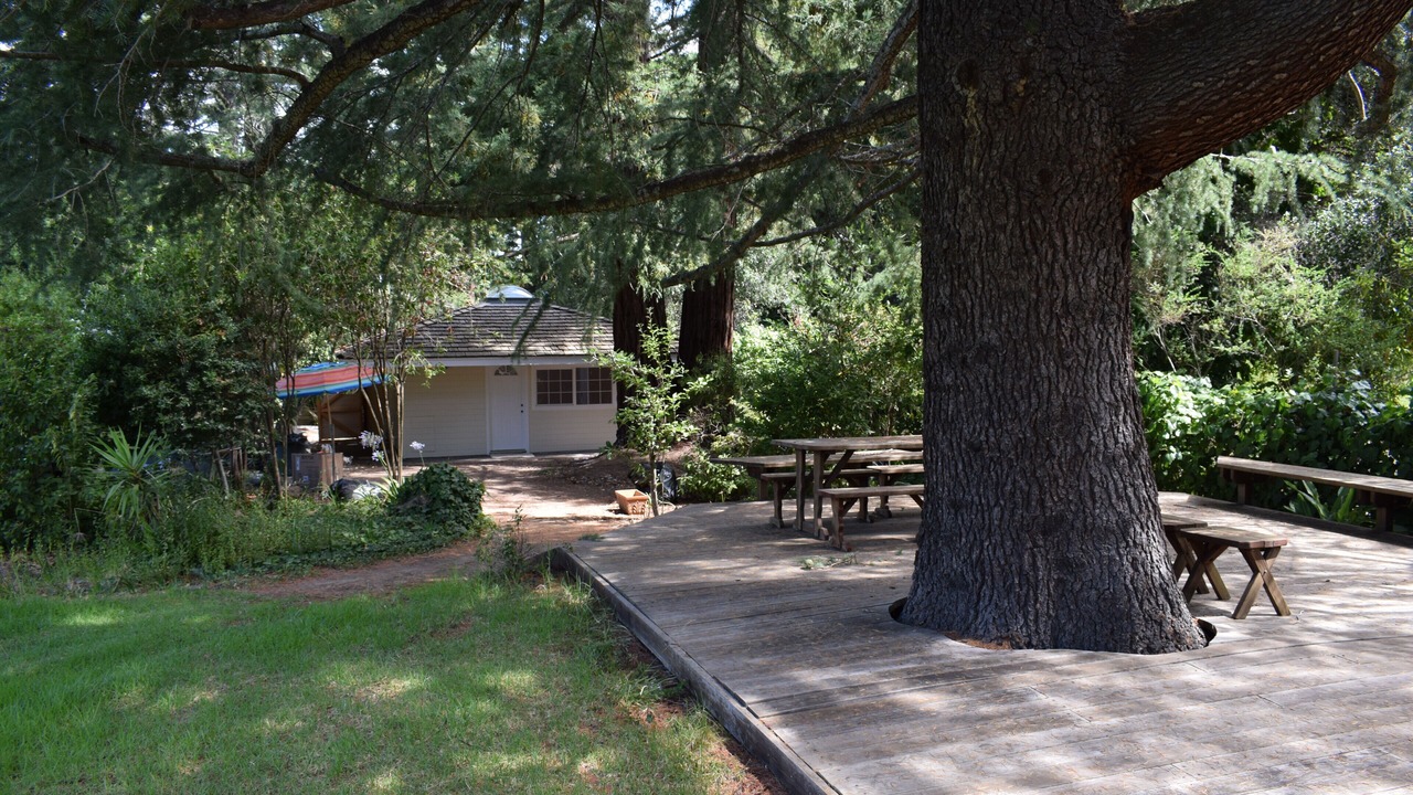 Photo of Outdoor in Saratoga