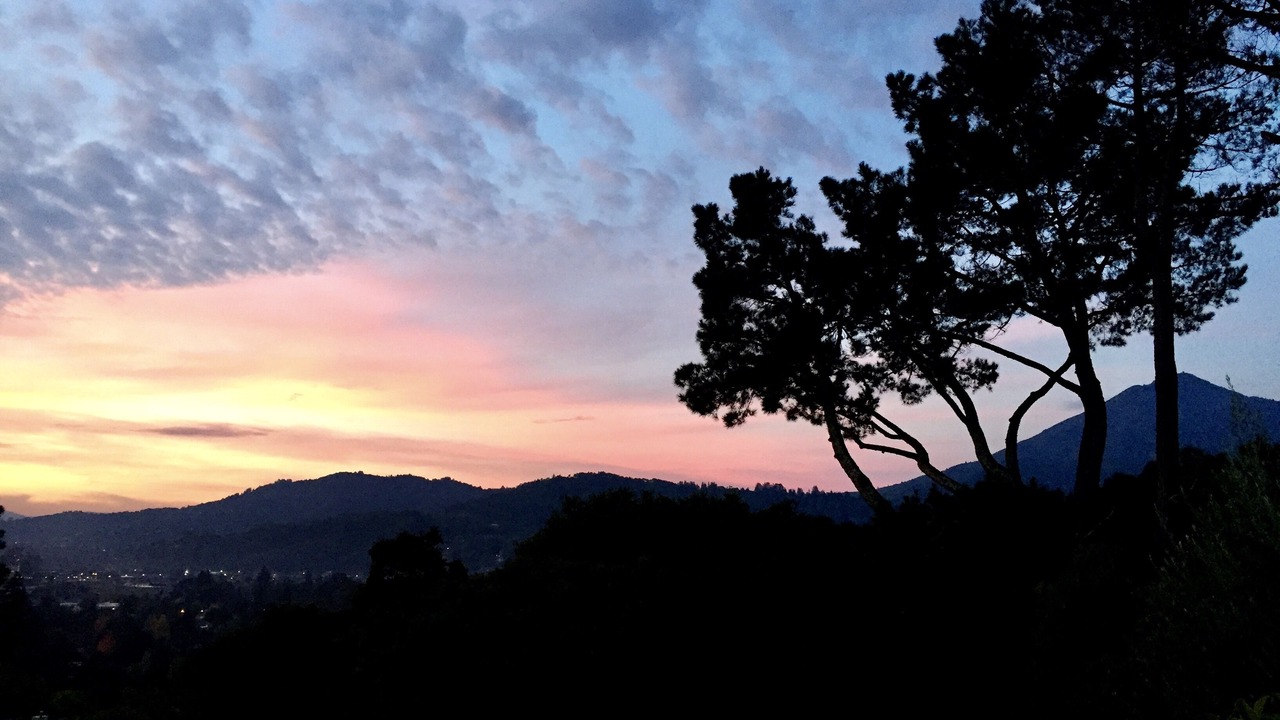 Photo of Outdoor in Greenbrae