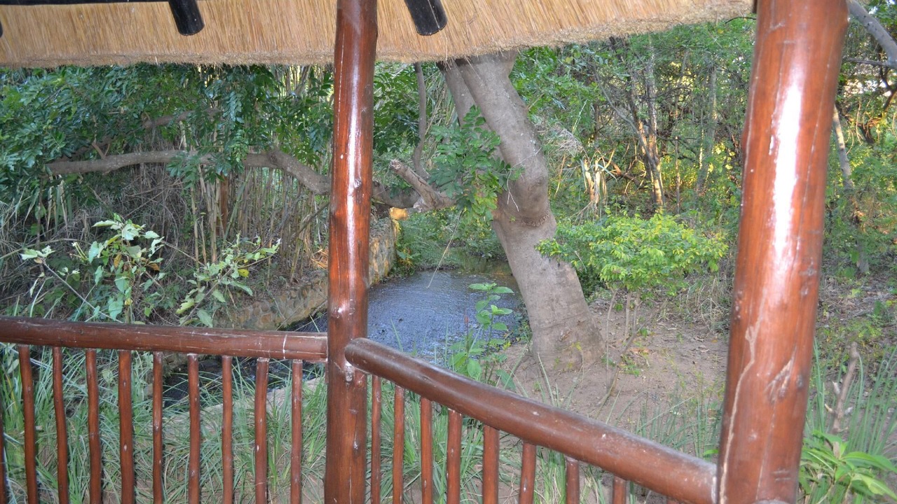Photo of Others in Hazyview