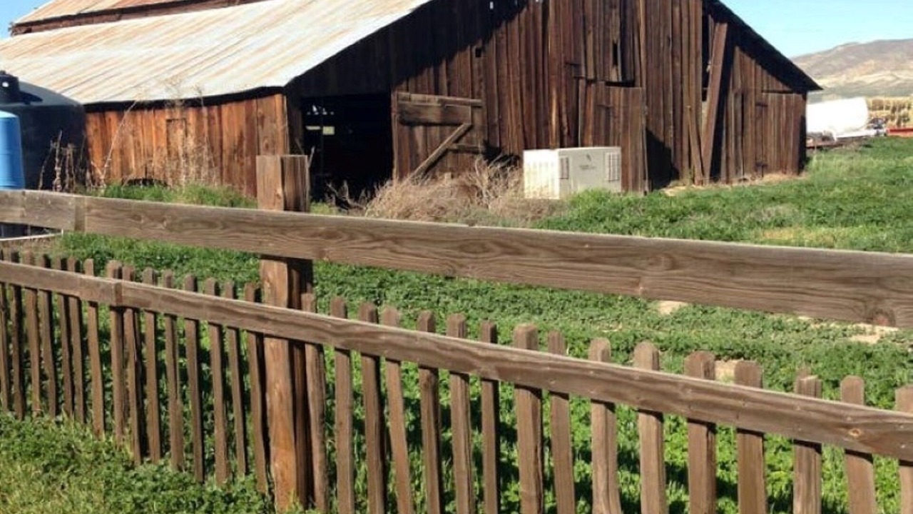 Photo of Outdoor in Paicines