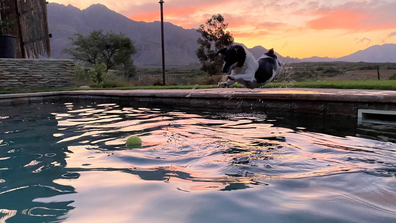 Photo of Outdoor in Montagu