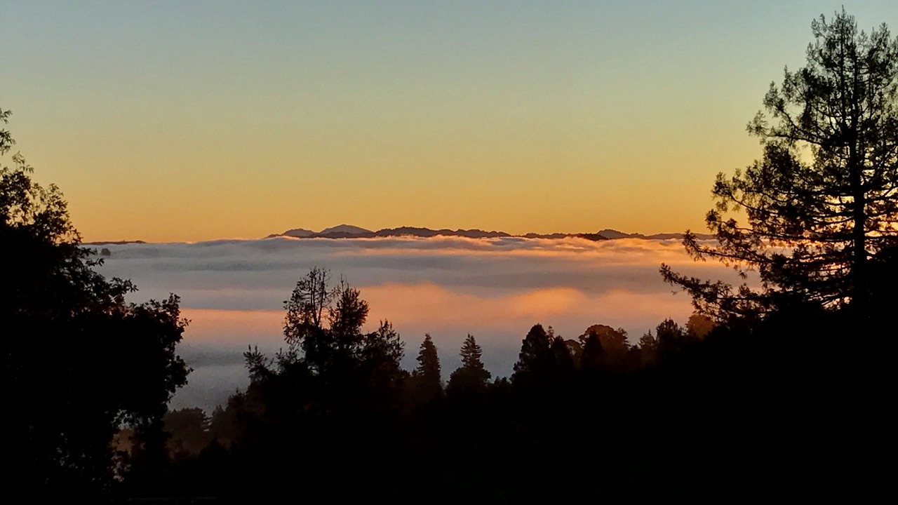 Photo of Others in Tamalpais-Homestead Valley