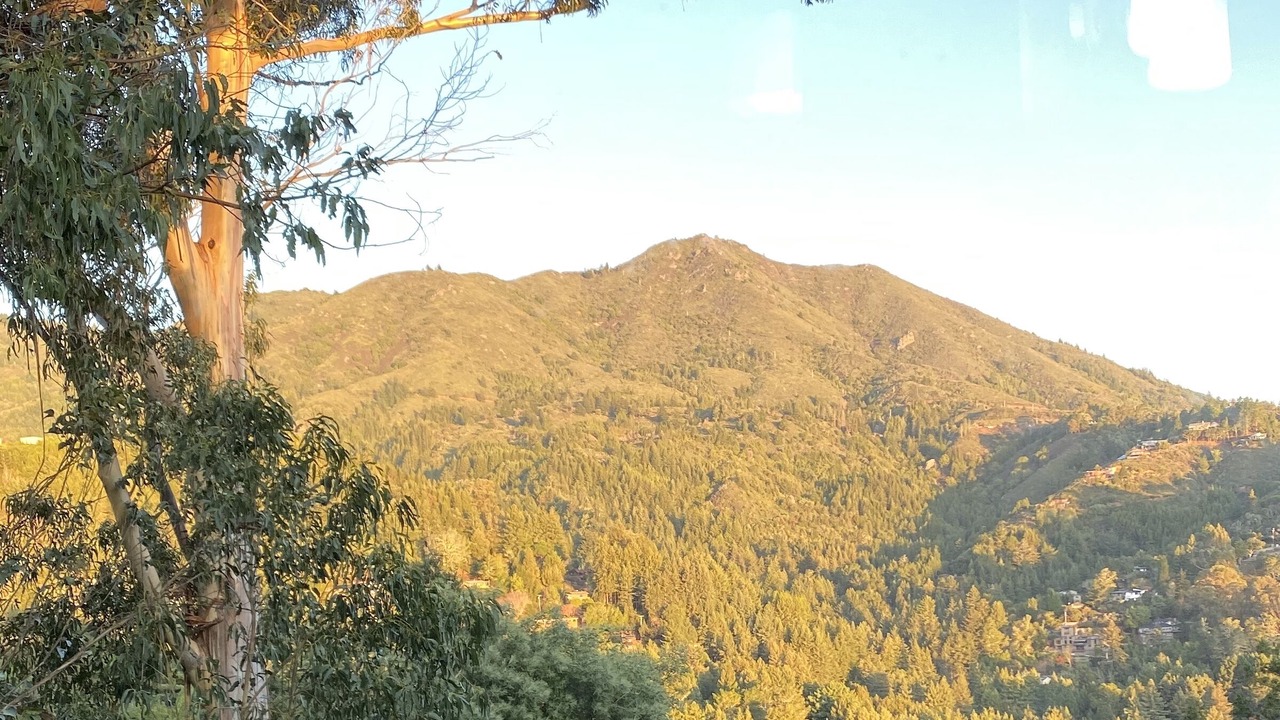Photo of Bathroom in Tamalpais-Homestead Valley