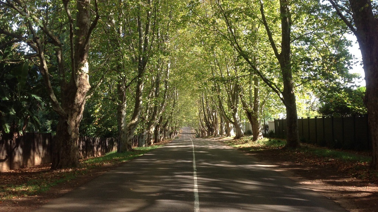 Photo of Outdoor in Winston Park