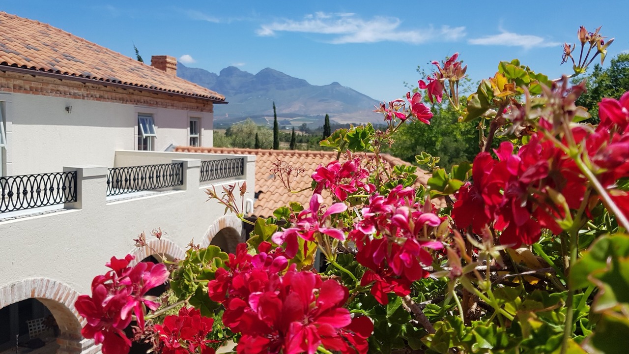 Photo of Outdoor in Paarl