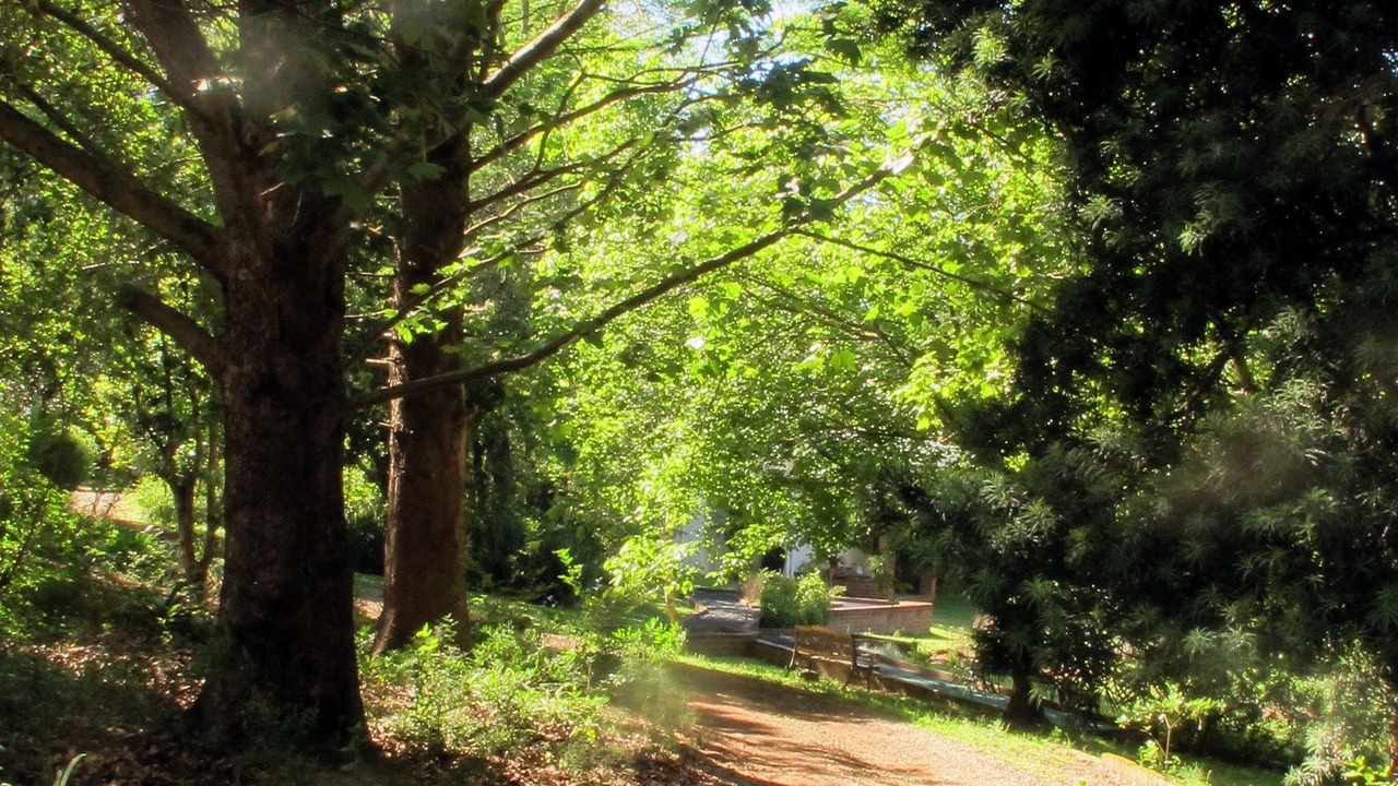 Photo of Outdoor in Lidgetton West