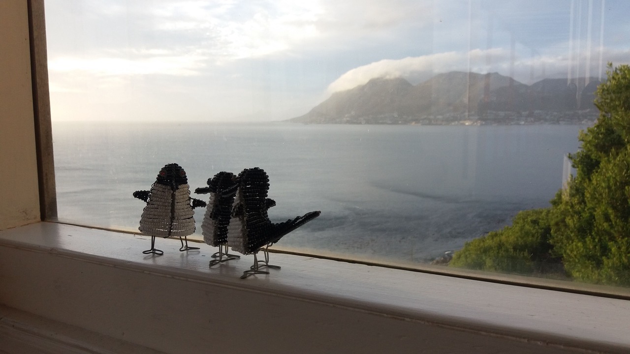 Photo of Others in Fish Hoek
