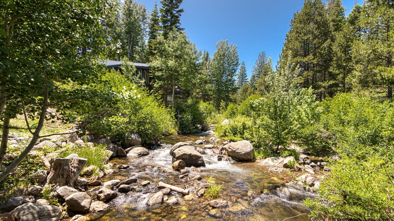 Photo of Others in Alpine Meadows