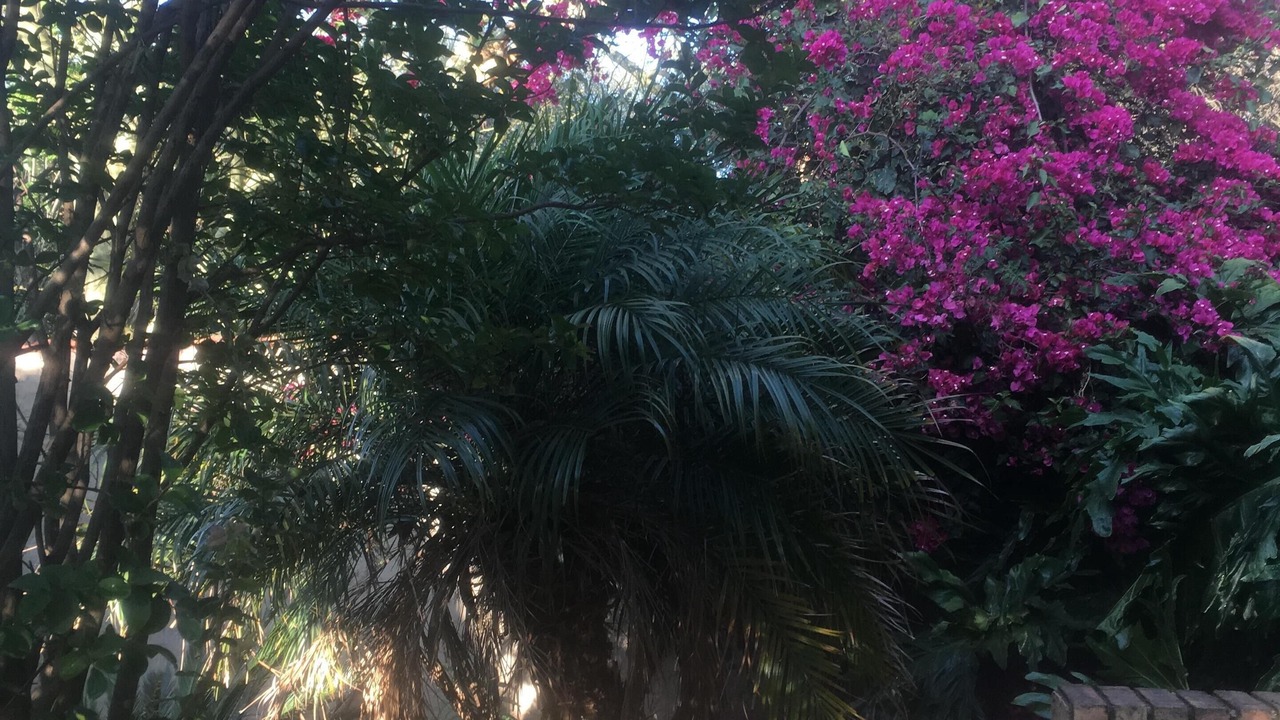 Photo of Outdoor in Greater Johannesburg Metropolitan Area