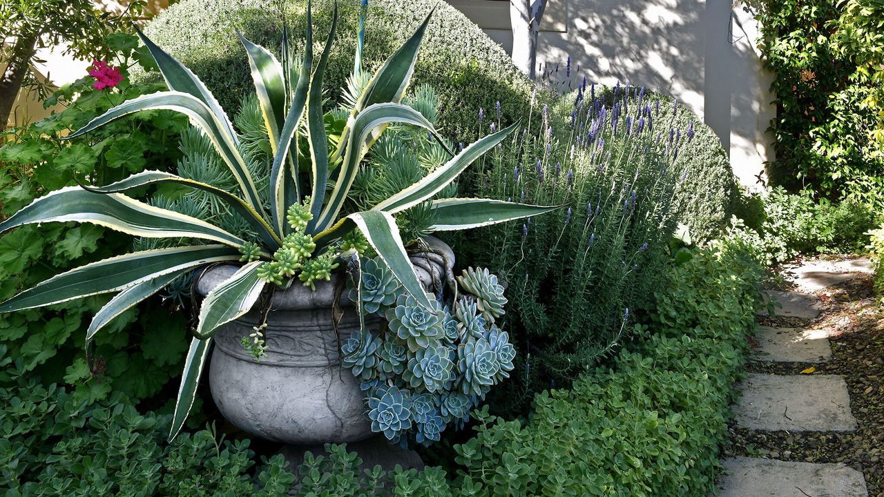 Photo of Outdoor in Franschhoek