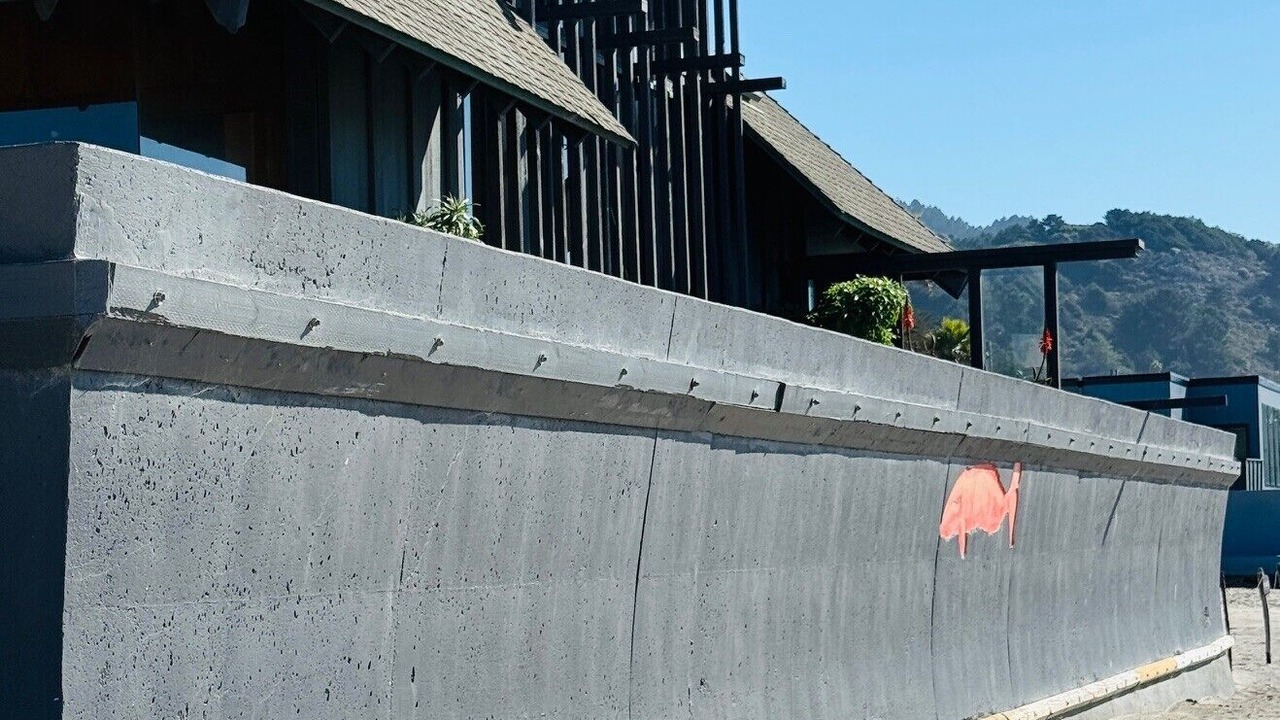 Photo of Others in Stinson Beach