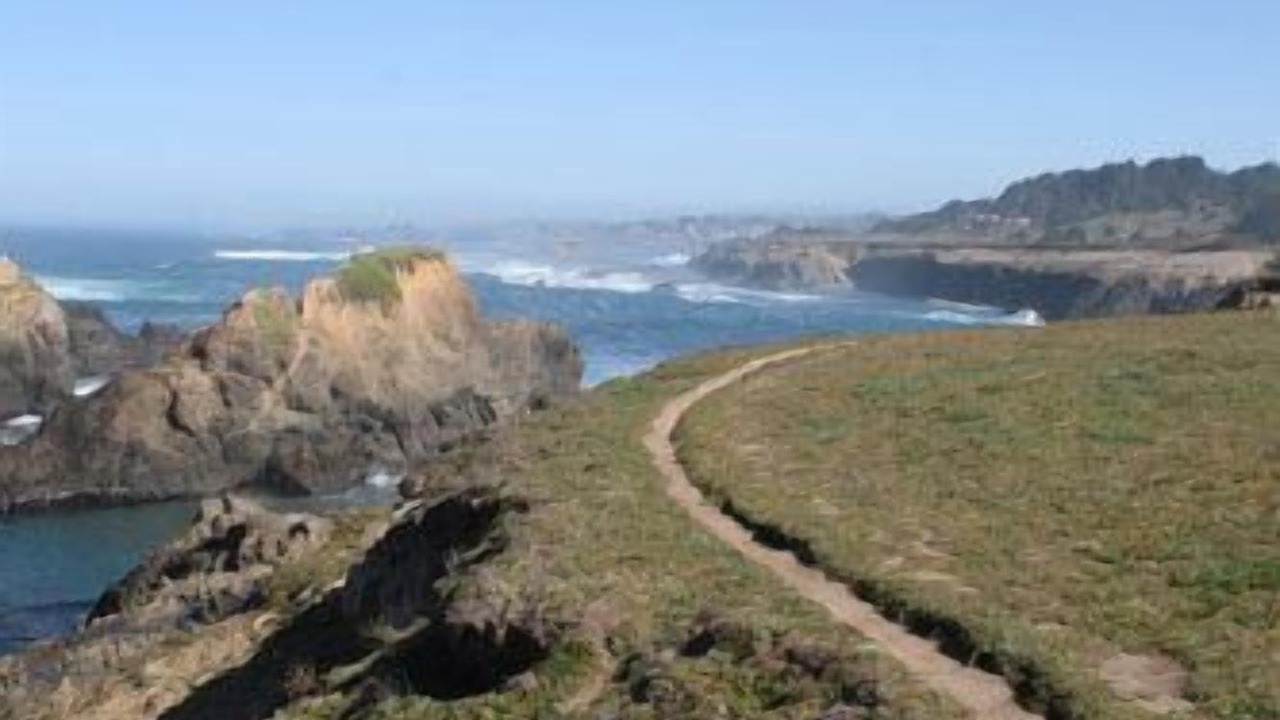 Photo of Others in Mendocino