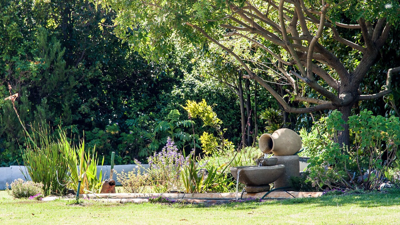 Photo of Outdoor in Noordhoek