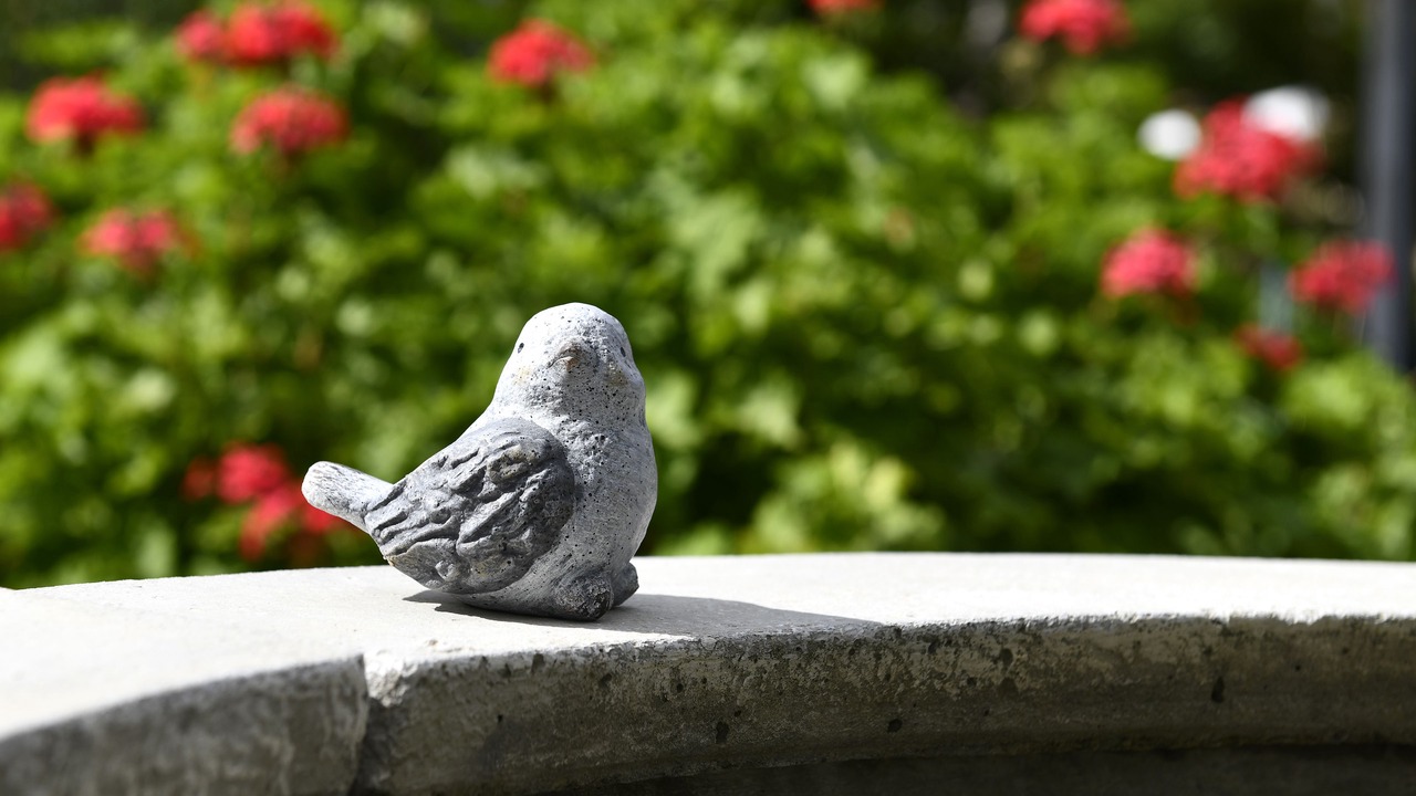 Photo of Outdoor in Franschhoek