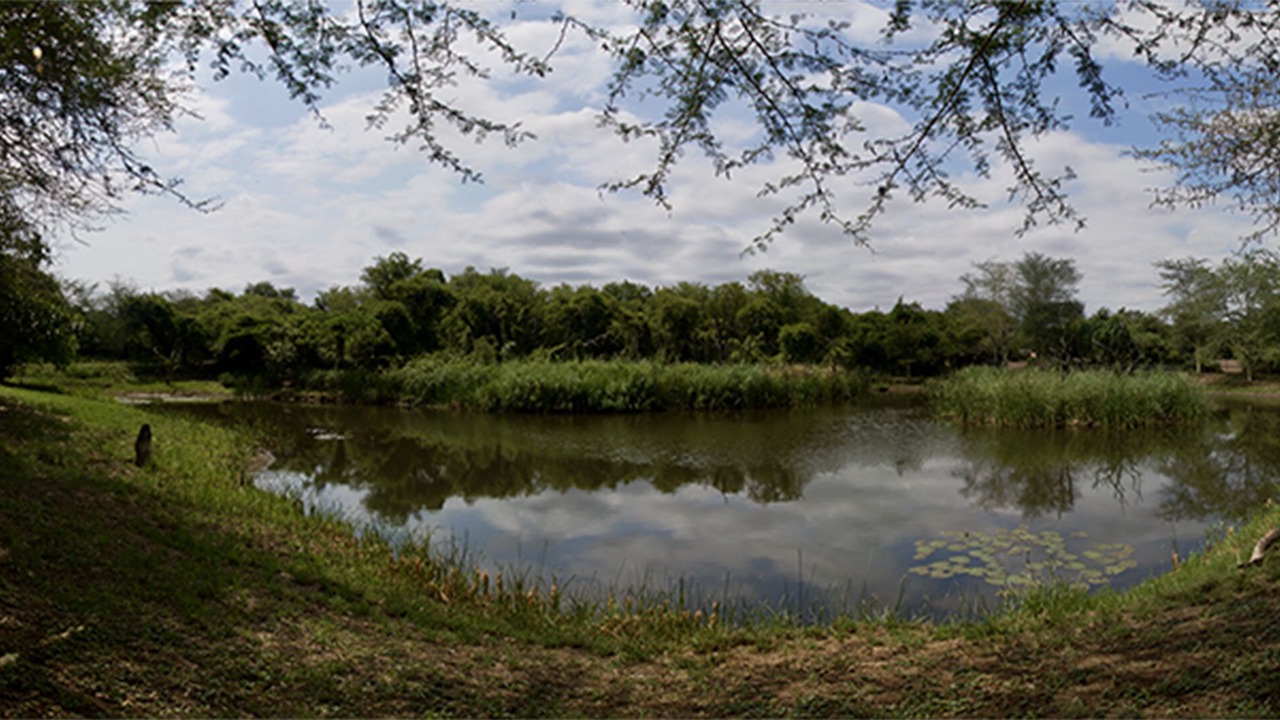 Photo of Outdoor in Phalaborwa