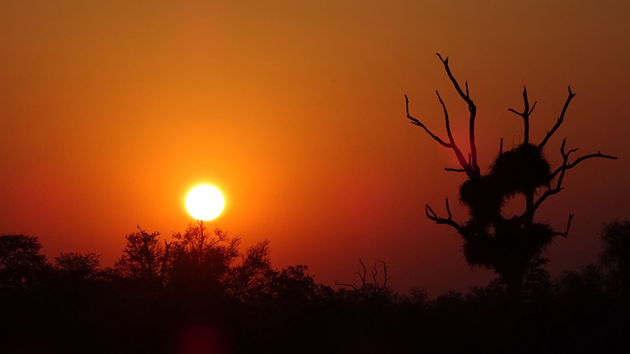 Photo of Outdoor in Phalaborwa