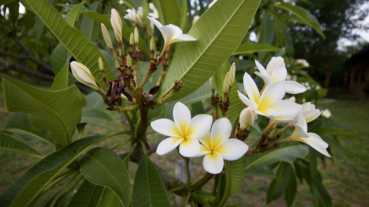 Photo of Outdoor in Phalaborwa