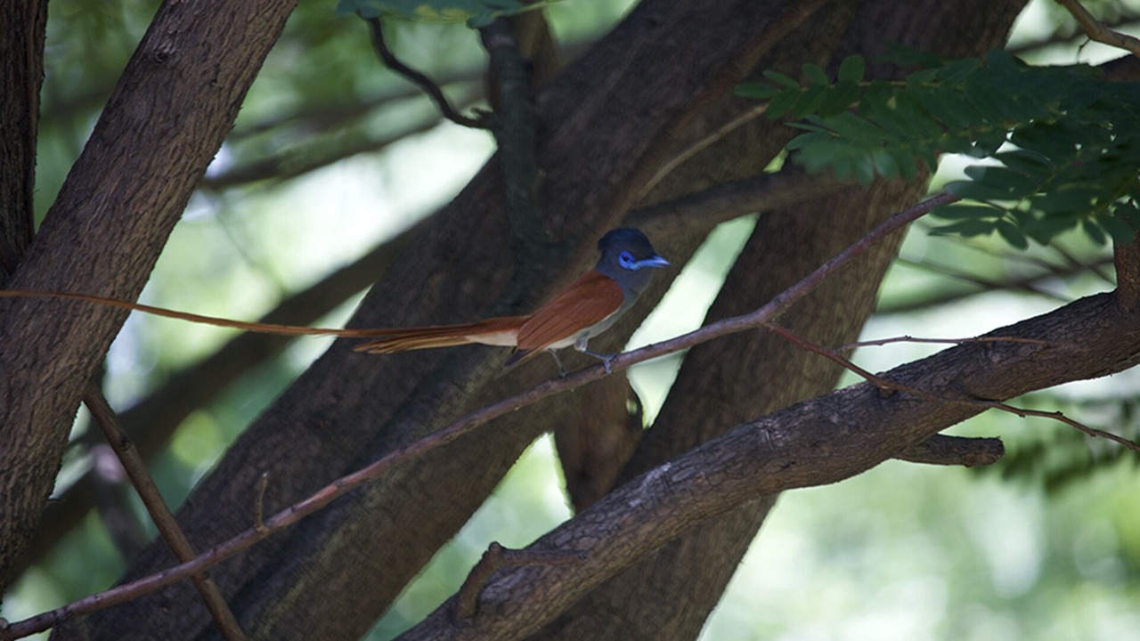 Photo of Outdoor in Phalaborwa
