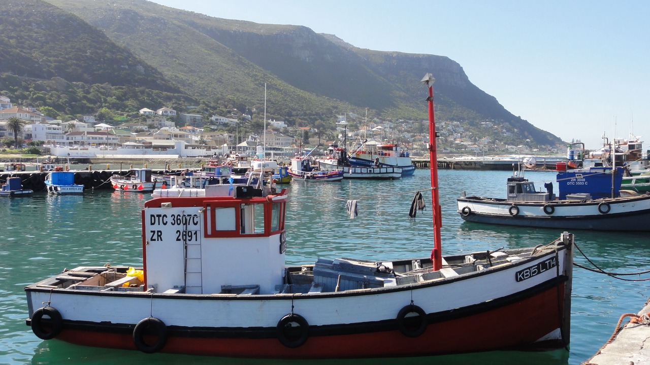 Photo of Others in Kalk Bay