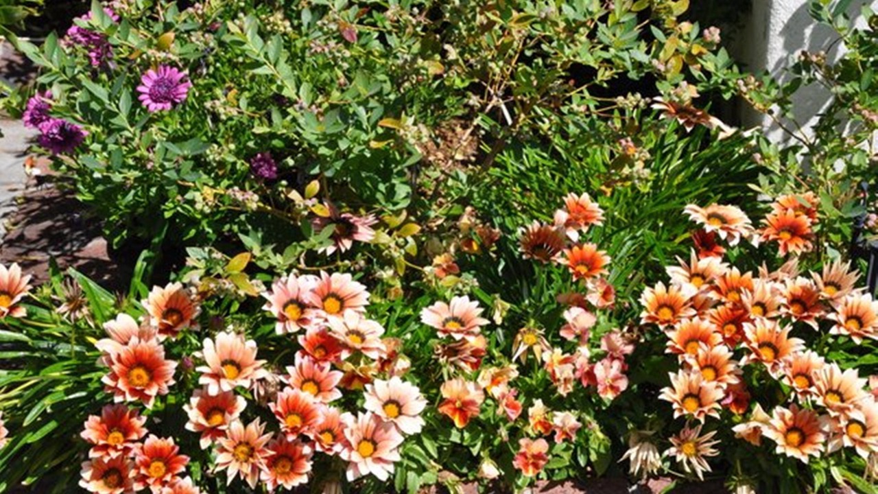 Photo of Outdoor in Claremont