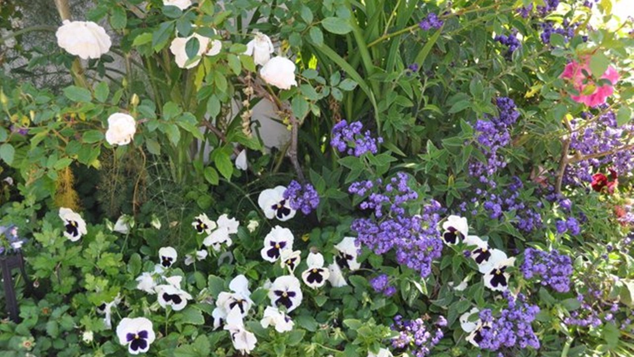 Photo of Outdoor in Claremont