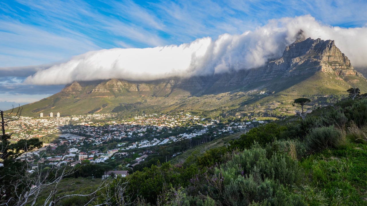 Photo of Others in Cape Town City Centre