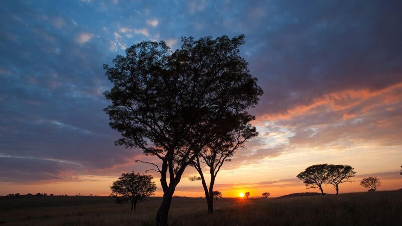 Photo of Outdoor in Bronkhorstspruit