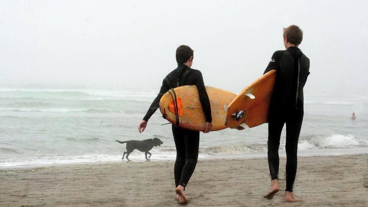Photo of Others in Dillon Beach