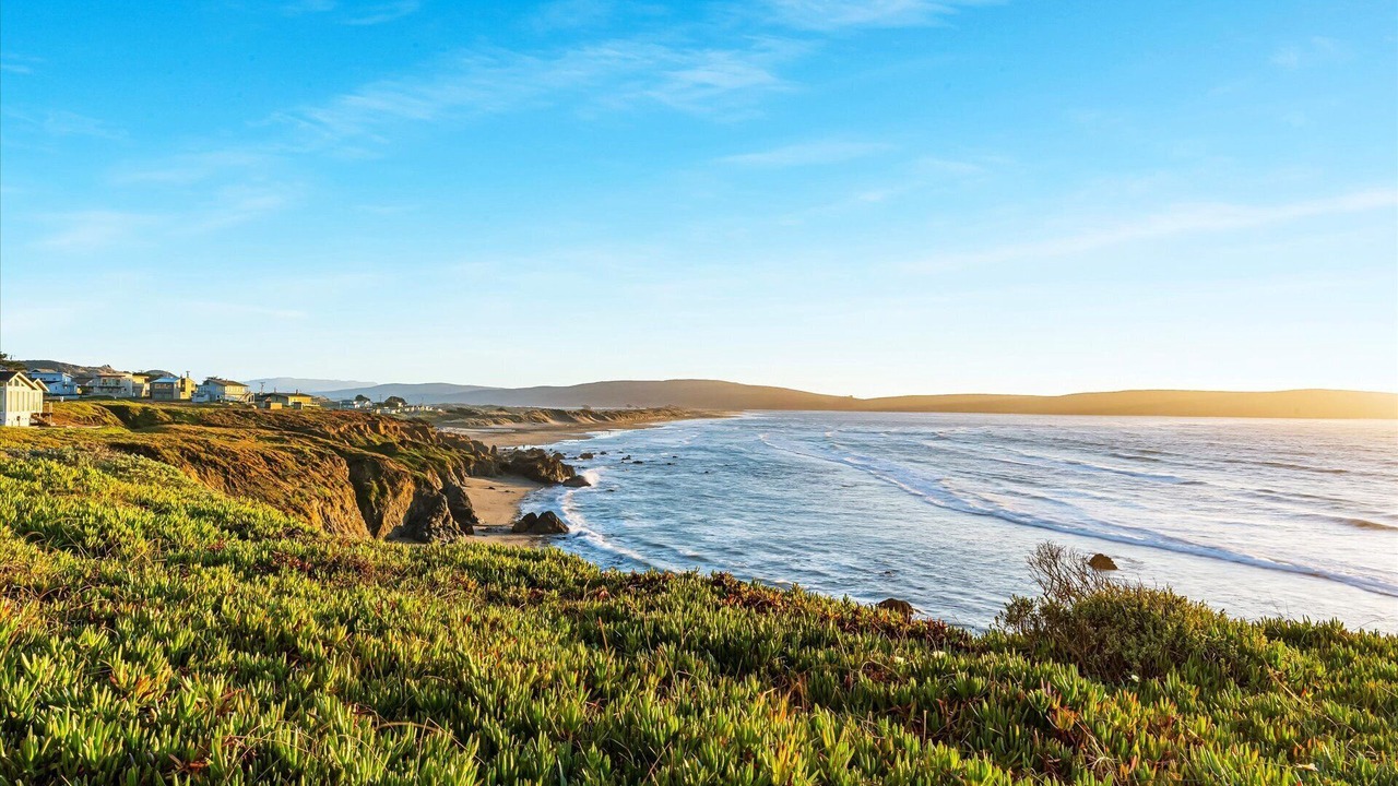 Photo of Others in Dillon Beach