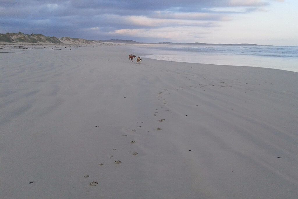 Photo of Others in Franskraal