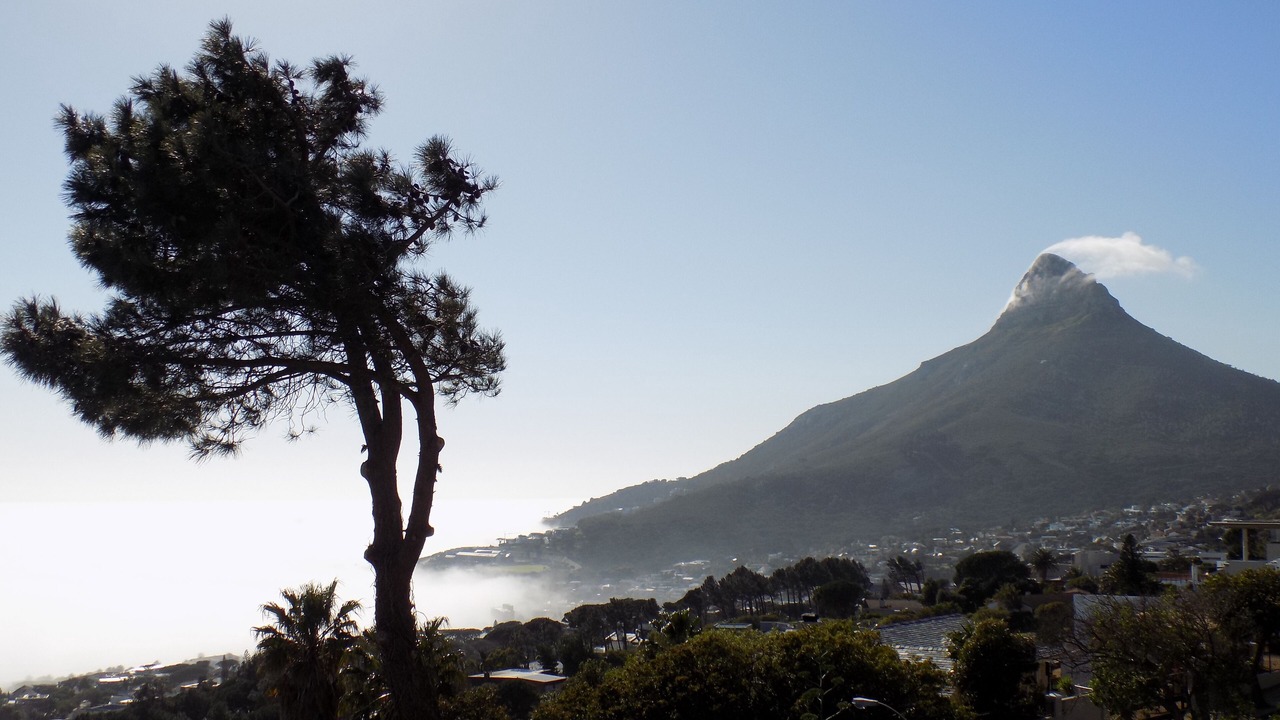 Photo of Others in Camps Bay