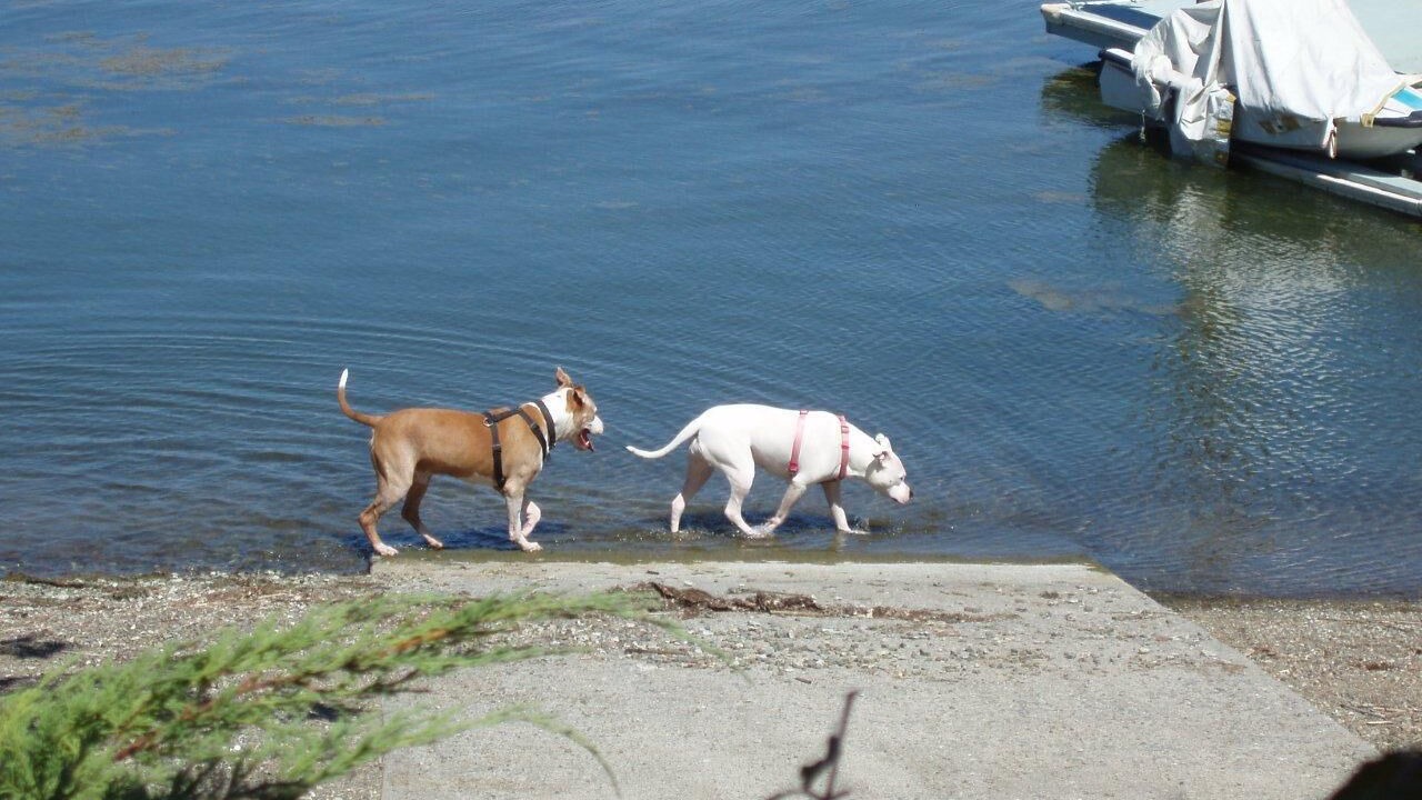 Photo of Others in Clearlake